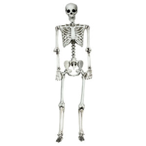 5.4 Feet Halloween Skeleton Life Size Realistic Full Body Hanging - Color: White
