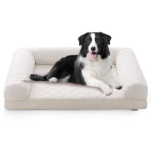 Egg-Foam Dog Crate Bed with 3-Side Bolster and Removable Washable Bed Cover-Beige - Color: Beige